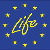 life+ finanziamenti ambiente