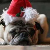 calo consumi natale