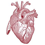 scompenso cardiaco